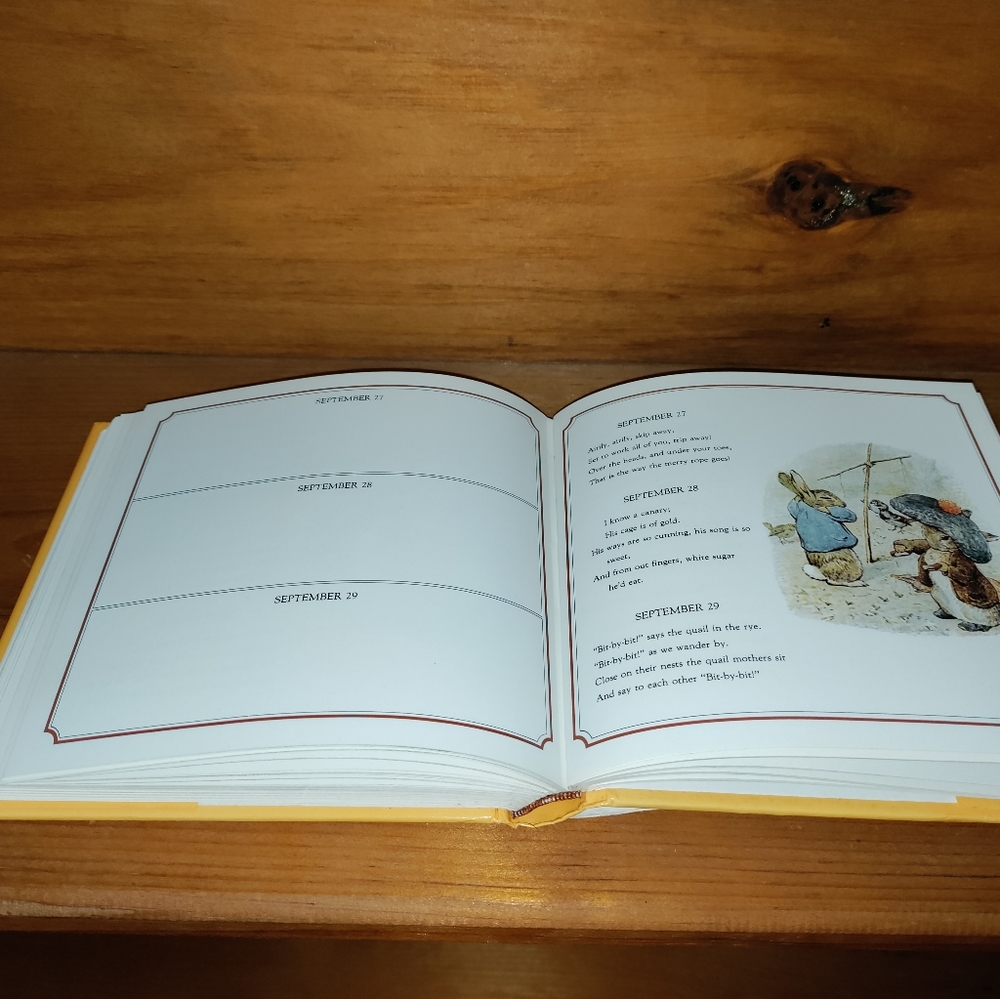 Peter Rabbit Birthday Book - Picture 4 of 10